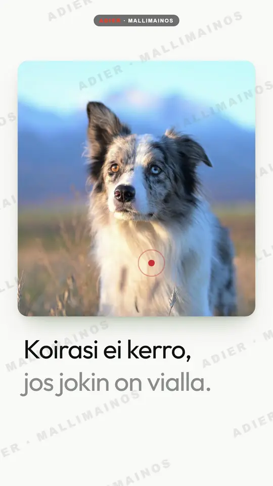 Frame from the Abbis ad: a photo of a collie in a rounded frame above the Finnish line “Your dog won’t tell you if something is wrong”